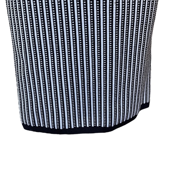 Aritzia Babaton Striped Set- Sculpt Knit Tank & Bodycon Tube Midi Skirt - Picture 8 of 11